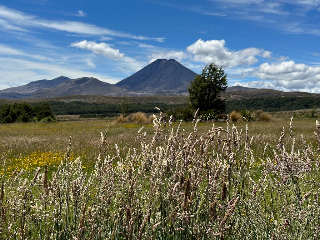 Grass in foreground and volcano in background.
