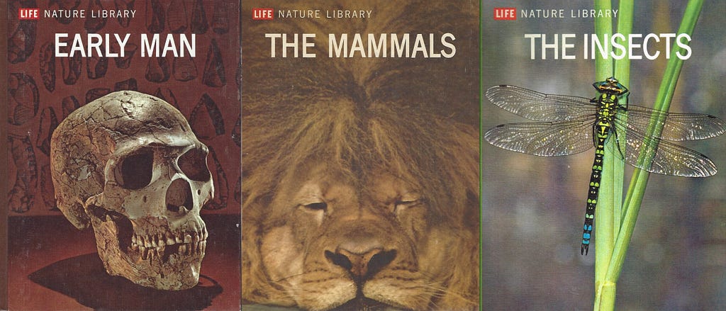 Three covers from the Nature Library series: Early Man (a skull); The Mammals (a lion’s face); The Insects (a dragonfly on a plant).