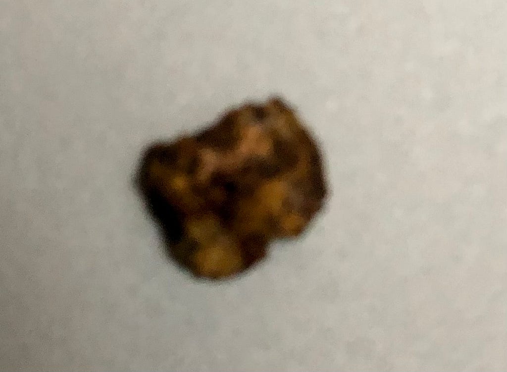 a blurry picture of an acorn shell