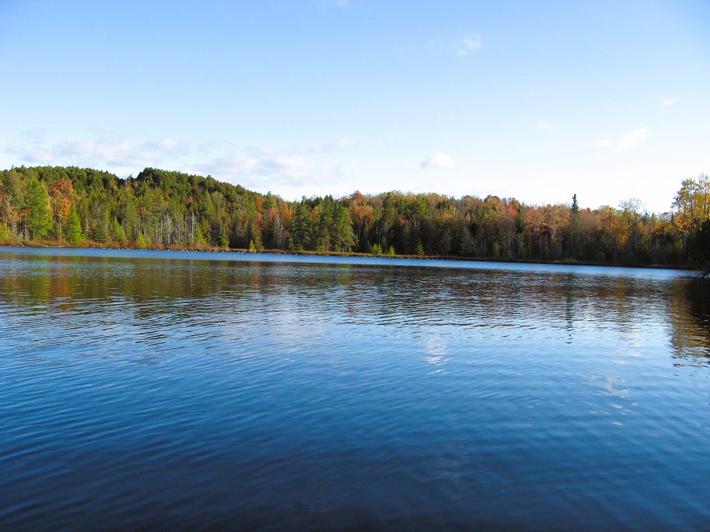 big lake with forest in fall colors with birds and big blue sky