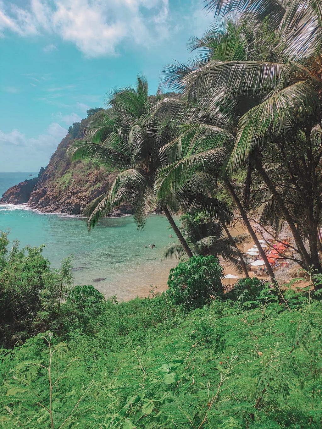 Praia do Cachorro behind the palm trees