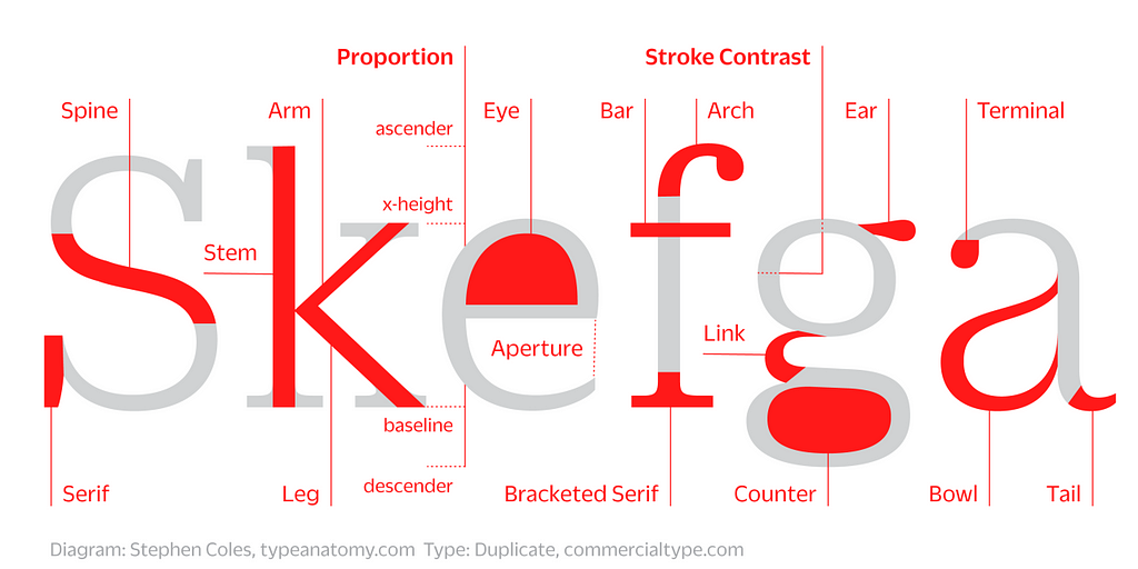 Anatomy of type describing the visual elements that make up the letterforms