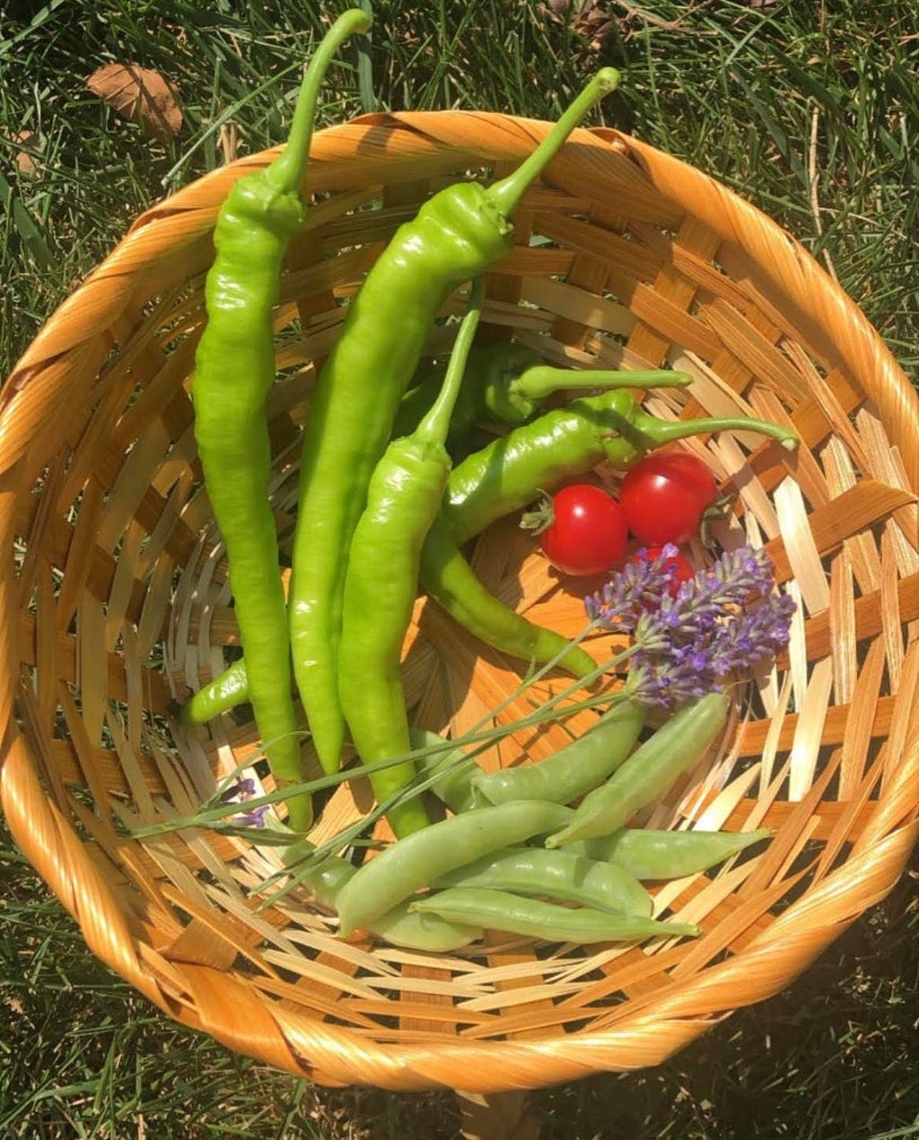 A basket of green chilies, cherry tomatoes, sweet peas, and lavender flowers harvested from the garden.