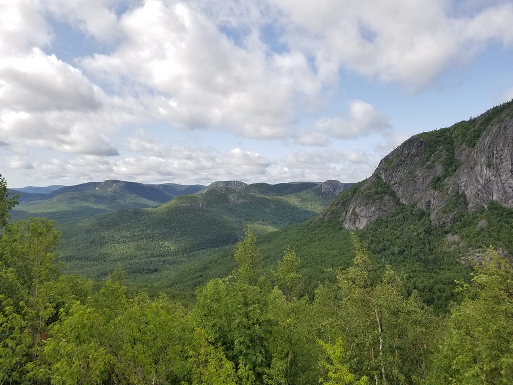 Waves of trees from on top a mountain