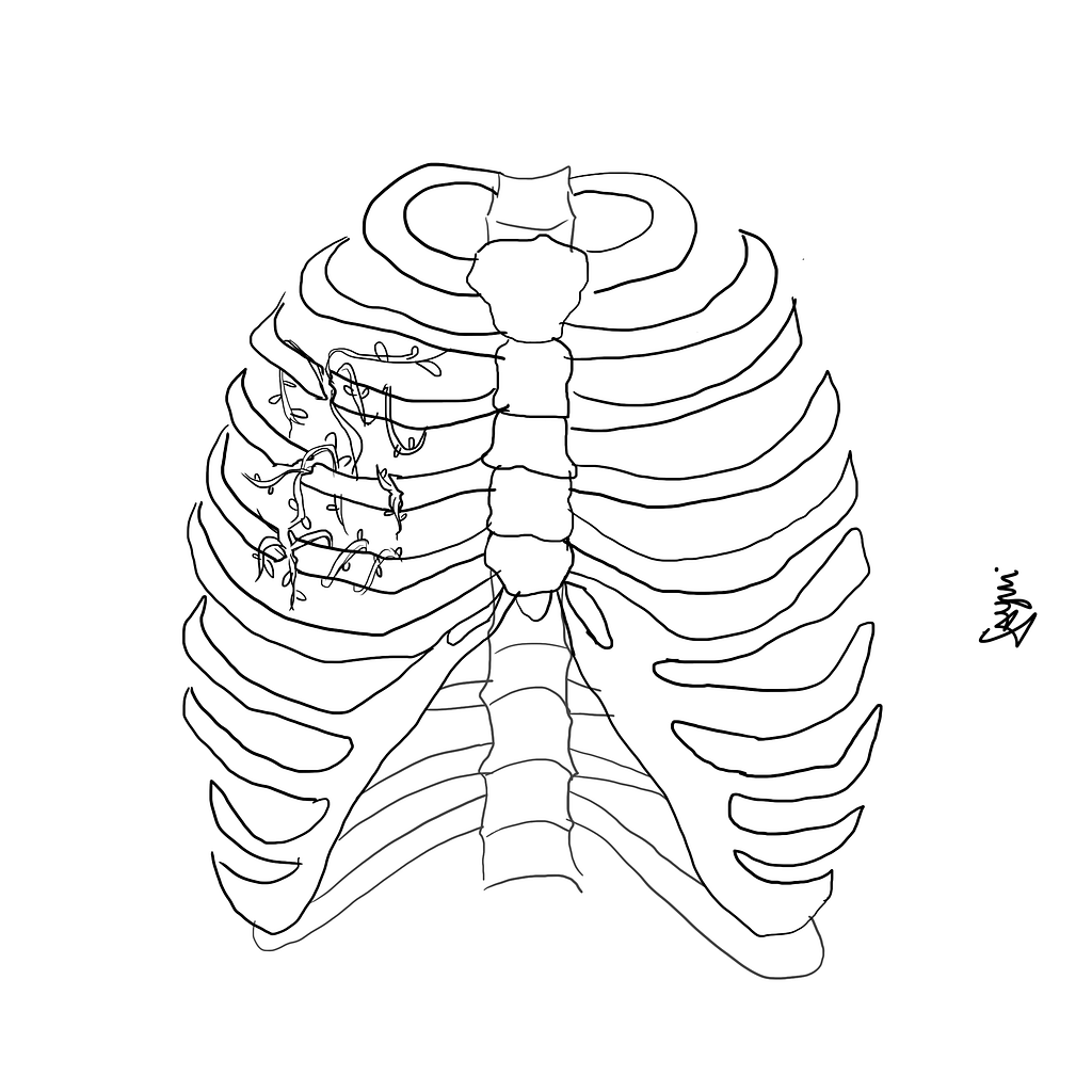 Desenho digital de uma estrutura óssea da coluna vertebral e costelas com plantinhas crescendo de dentro para fora