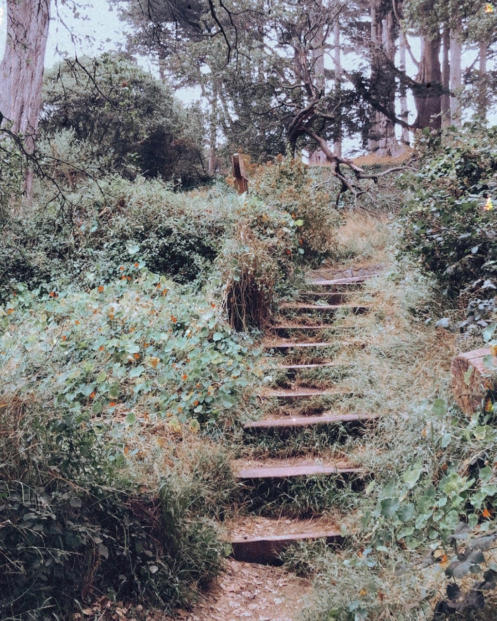 Steps along a pathway