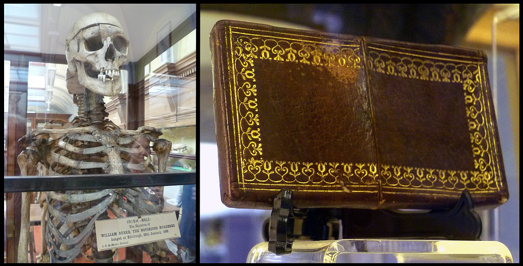 On the left is Burke’s skeleton on display in a museum. On the right is the calling card holder. It looks like brown leather embossed with gold and it is surprisingly ornate, pretty and normal-looking.