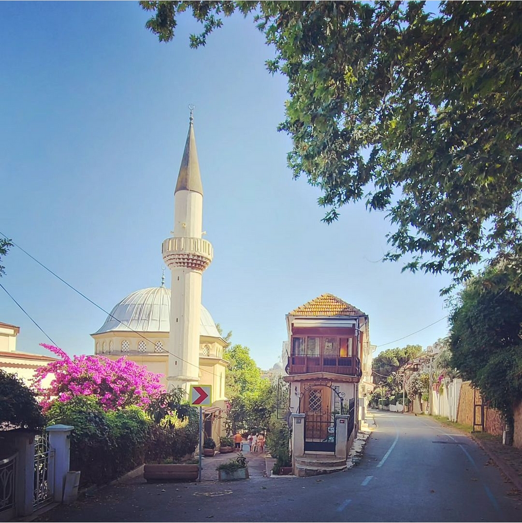 View from a day trip to the Burgazada island off of Istanbul