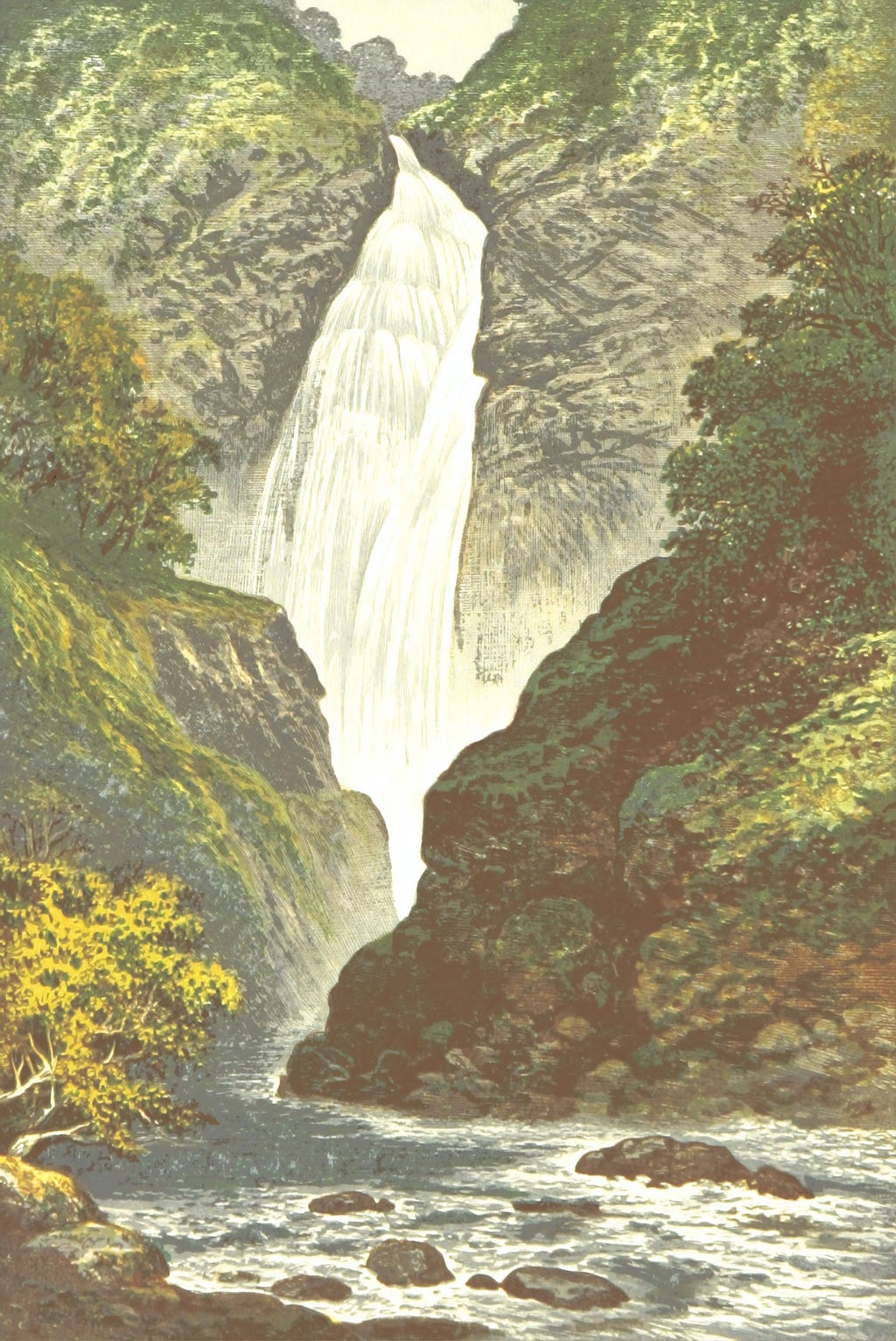 illustration of a waterfall and river in a forest