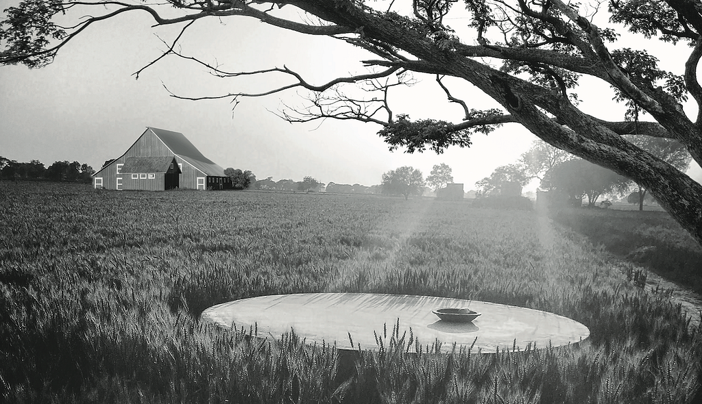 A farm showcasing peace, life and hope