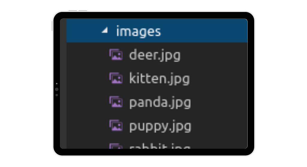 Image Storage Folder