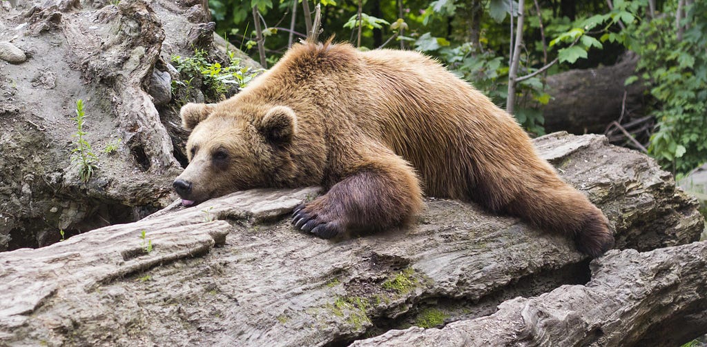 A frustrated bear wondering why Marco Marchioro wrote this post about multi-period market trends