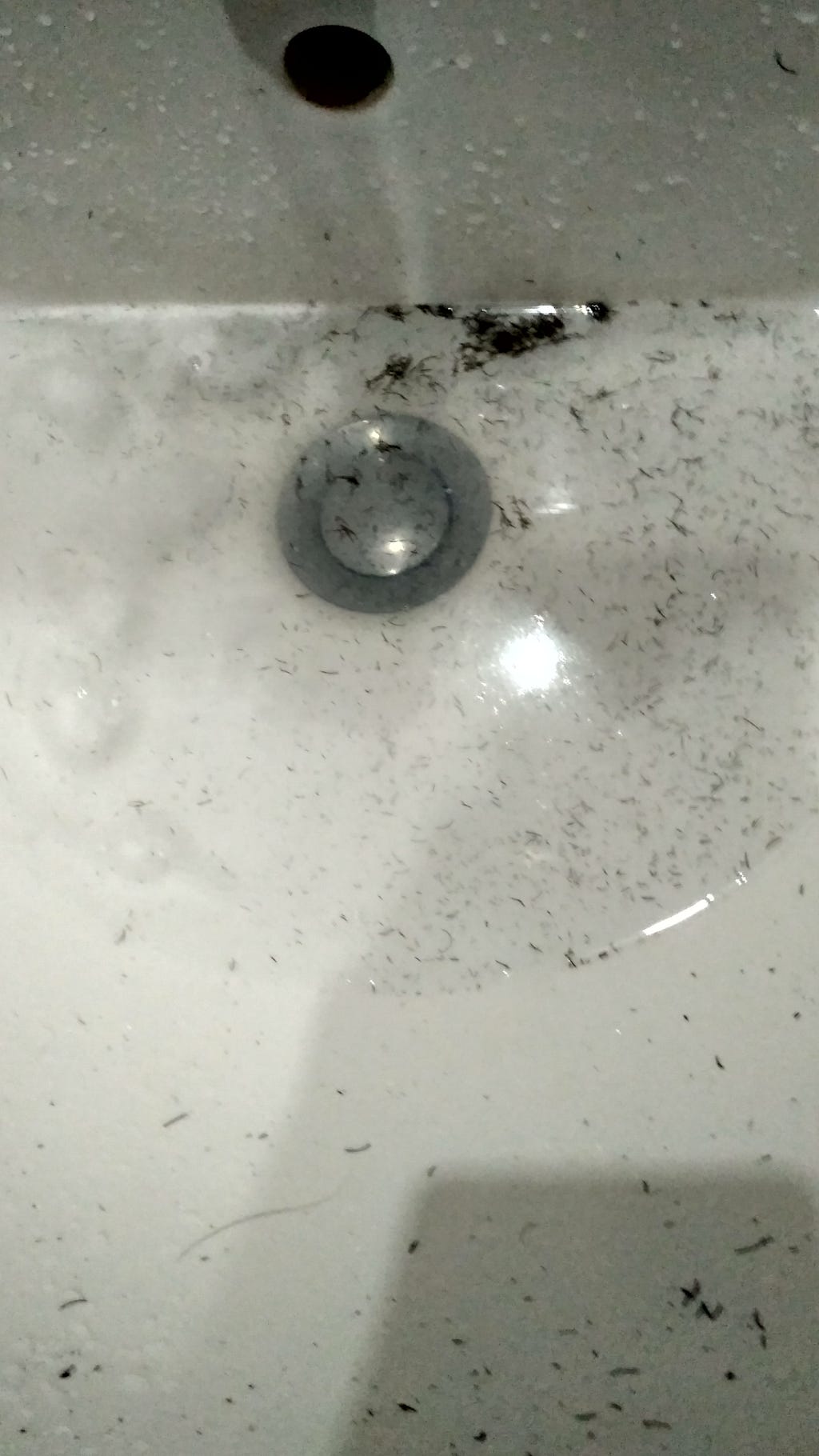 Sink full of water and beard remnants
