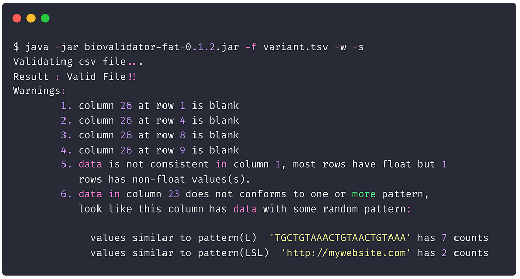 shos an example of running CSV validator over a csv file,