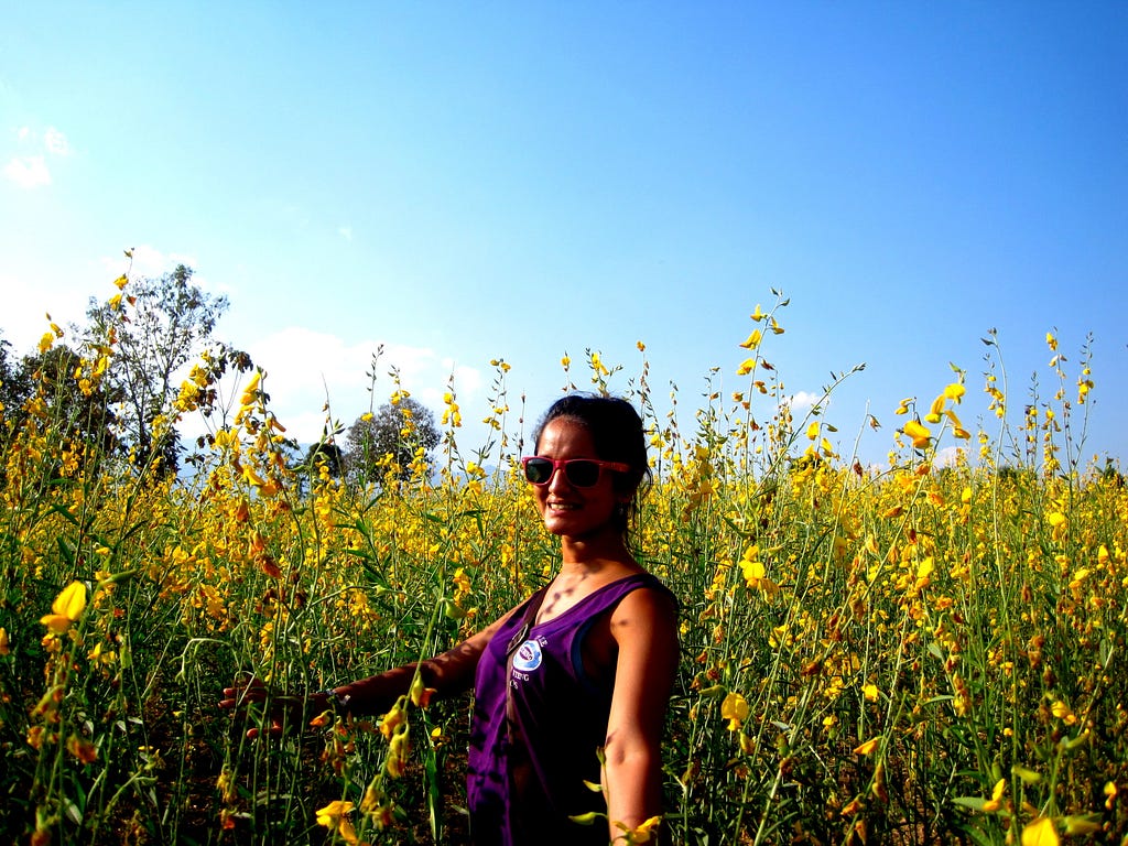 A British female traveler poses for a picture with sunflowers on a beautiful sunny day