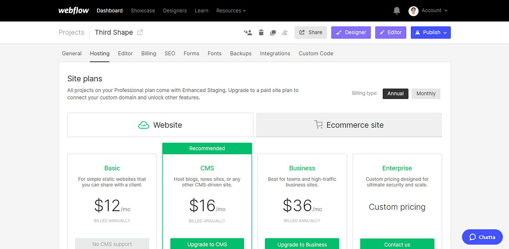 Webflow hosting options