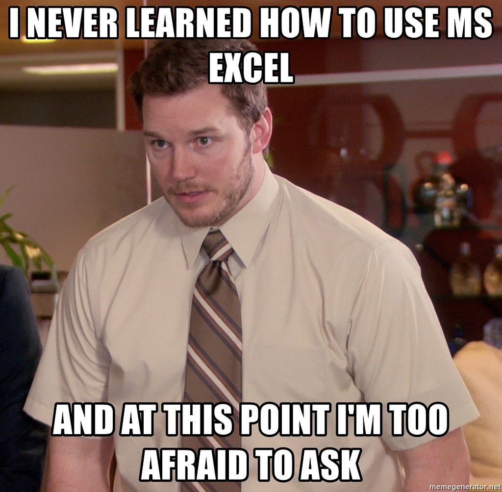 meme dengan tulisan “i never learned how to use ms excel and at this point im too afraid to ask”. mengilustrasikan mengenai pentingnya skill Excel