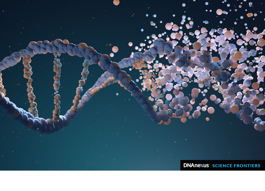 De novo assembly and haplotype phasing of diploid human genomes