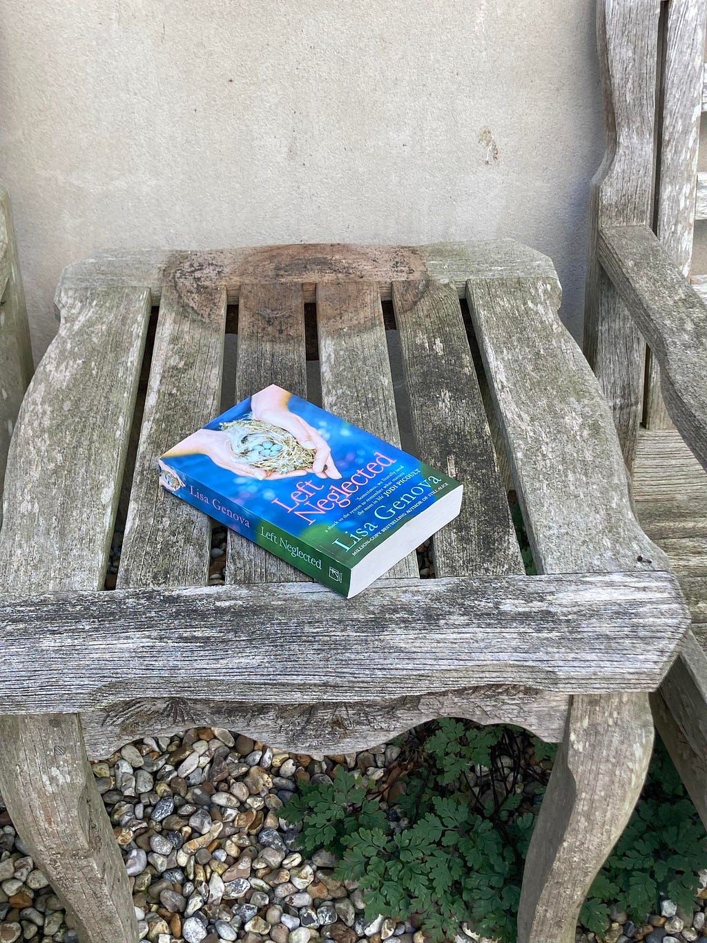A photograph of the book ‘Left Neglected’ on a garden table
