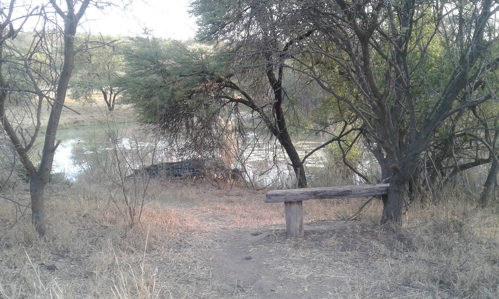 A wooden bench, surrounded by mature thorn trees overlooking a medium-sized dam