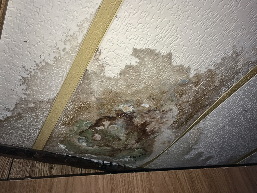 Ceiling water damage depicted in a dingy room, highlighting the need for water damage restoration services.