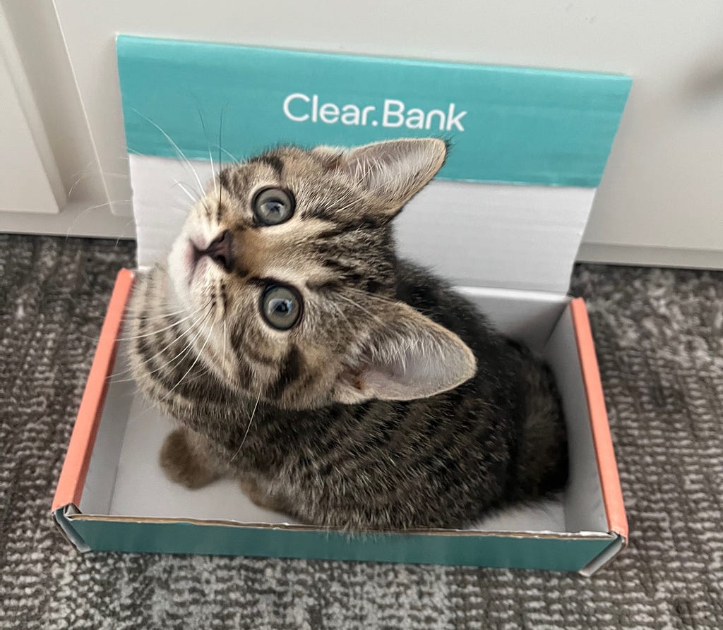 A kitten in a ClearBank branded cardboard box