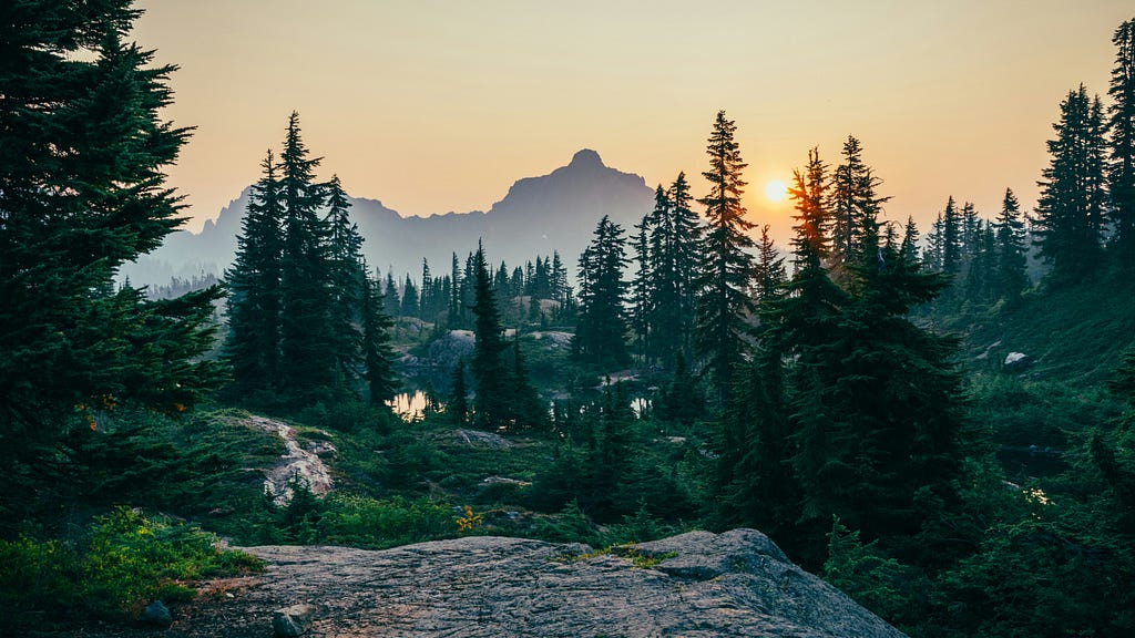 A rugged mountainscape with lush green fir trees receive an orange glow from the setting sun [Credit: Sergei A on Unsplash].
