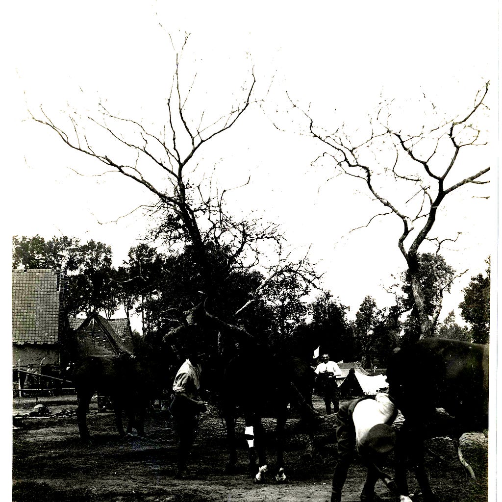 b/w photo of soldiers looking after horses; stark trees and brick buildings in background