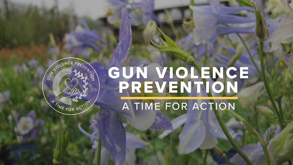 HEADER IMAGE: Gun Violence Prevention: A time for action