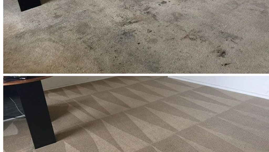 Carpet Stain Removal Services