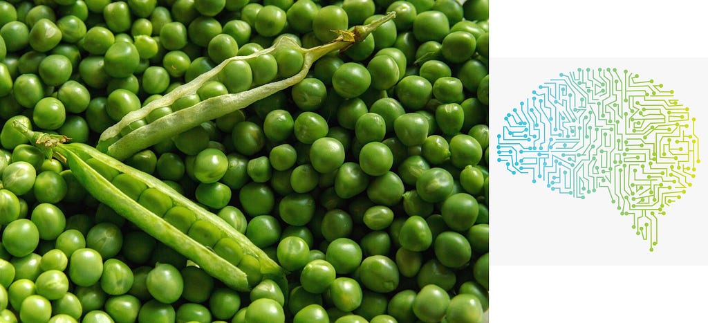 On the left side: background of bright green peas outside of the pod, on top is two pea pods cracked open with individual peas peeking out. On the right is computer art of blue and green circuit lines in the shape of a human brain.
