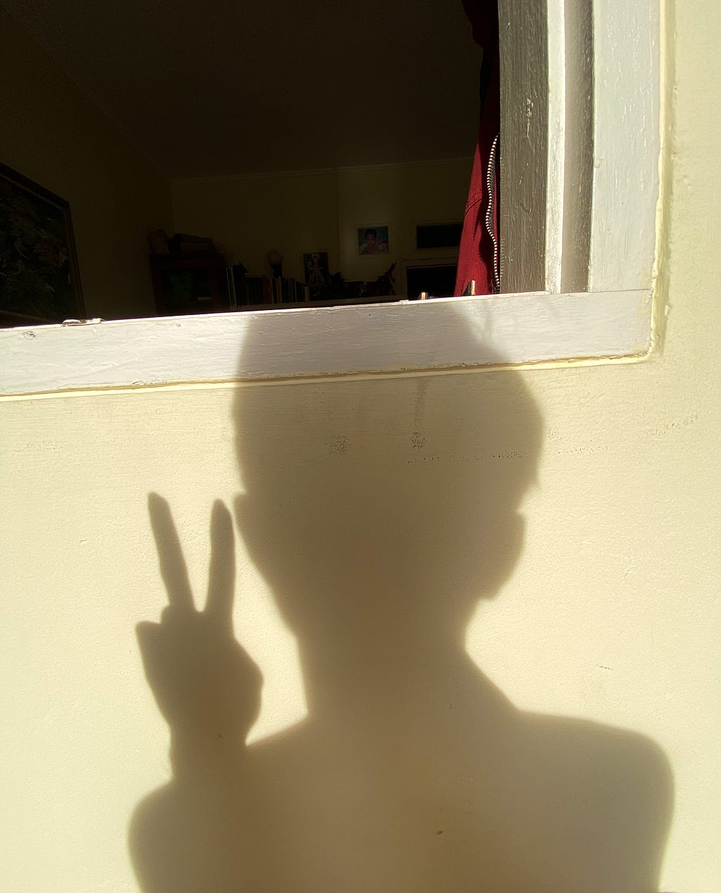 the shadow of myself