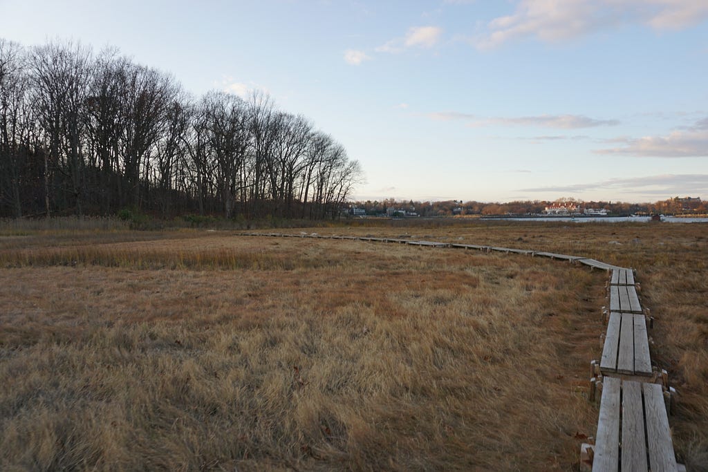 A Place of Refuge: A trail on Hunter Island in Pelham Bay Park in the North East Bronx. Photography by the Author, Michael Agovino