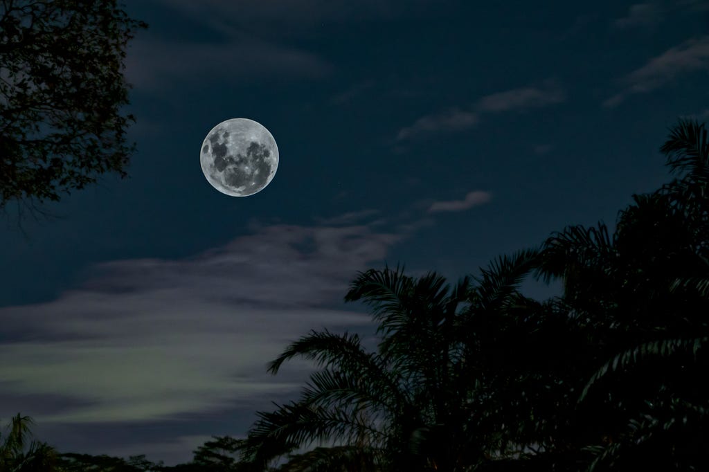 Photo by Tom Fisk: https://www.pexels.com/photo/low-angle-photography-of-full-moon-under-silhouette-of-tall-trees-1716158/