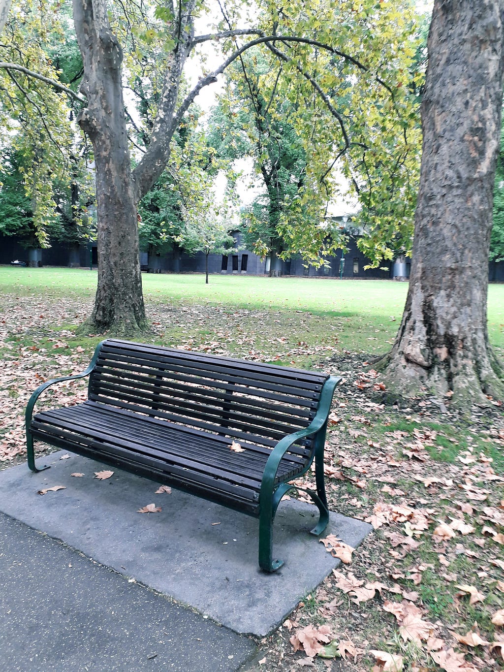 A bench in a Park, beneath trees