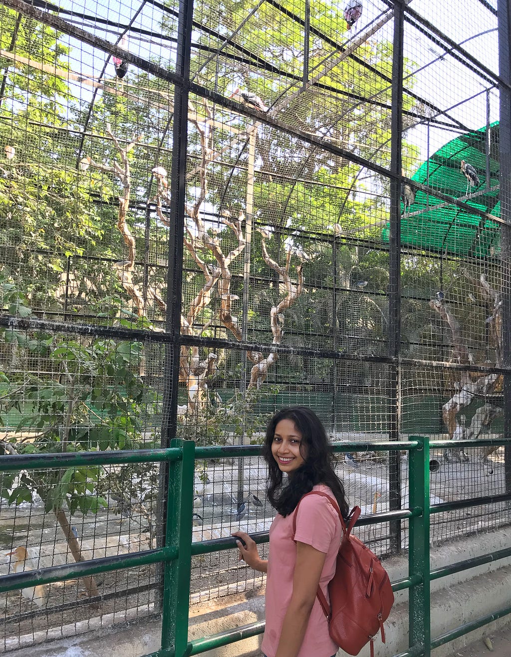 Birds at Byculla zoo /Rani Baug