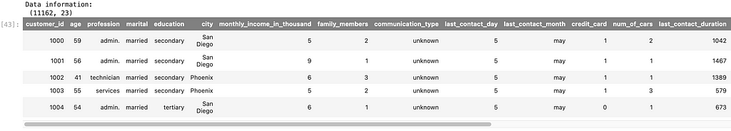 A preview of the dataset which has 11,162 records and 23 variables, including customer_id, age, profession, marital status, education, city, monthly income, family members, communication type, last contact day and month, credit card ownership, number of cars, last contact duration, campaign, days from last contact, and a column for previous campaign outcome.