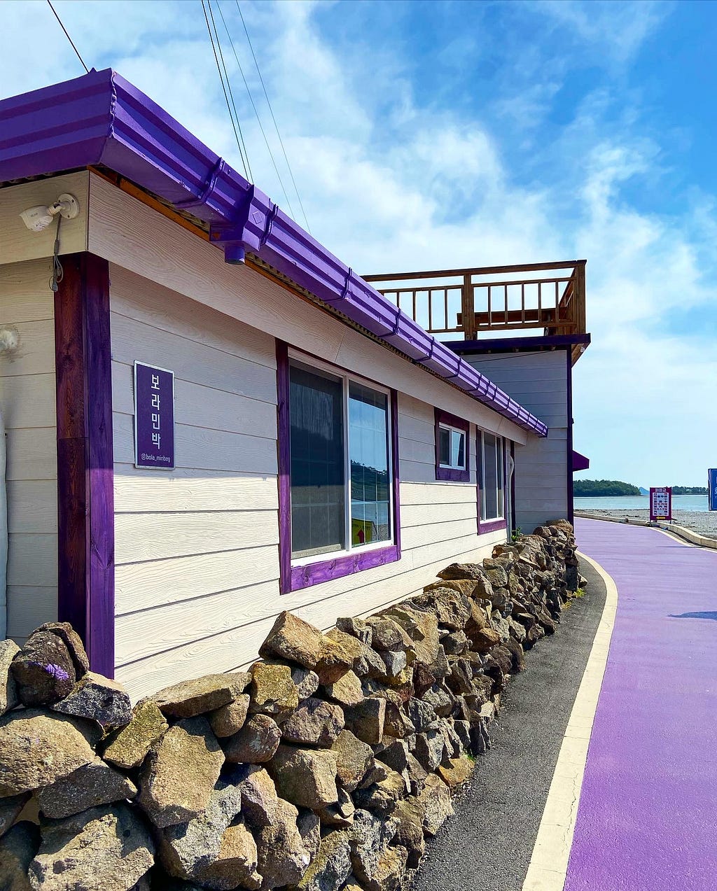 Purple painted house, rooftop, windows, and road.