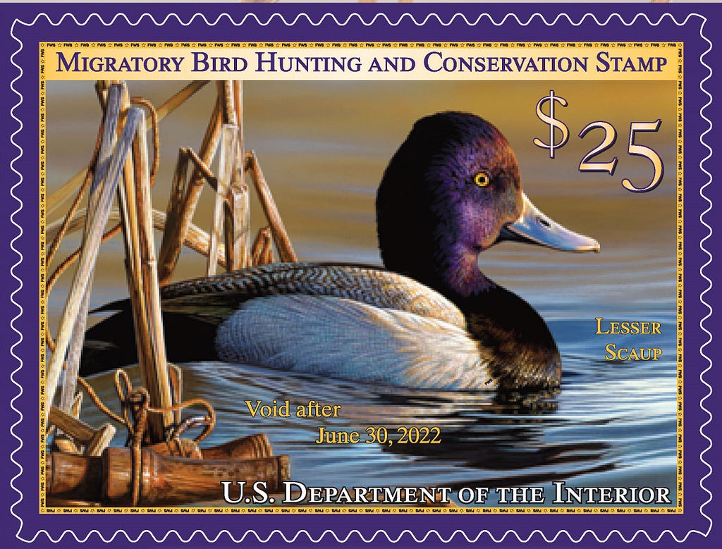 a stamp includes a photo of a duck, a $25, and text reading Migratory Bird Hunting and Conservation Stamp, U.S. Department of Interior