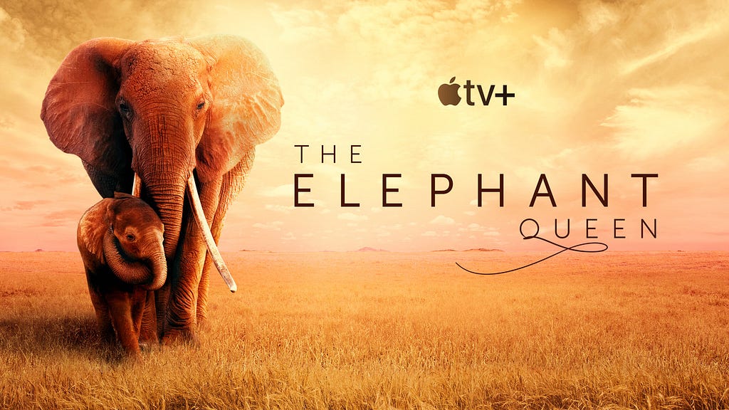 Film poster for Apple TV+ documentary “The Elephant Queen” — shows a mother and baby elephant walking across grassy savanna.