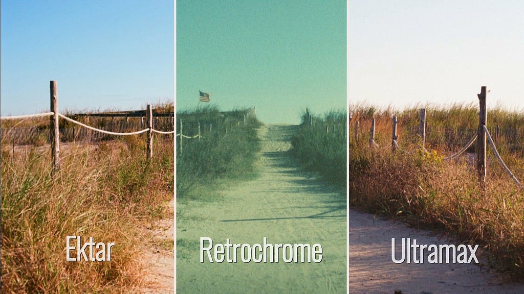 Comparison between Kodak Ektar, Retrochrome, and Ultramax. Image by the Author