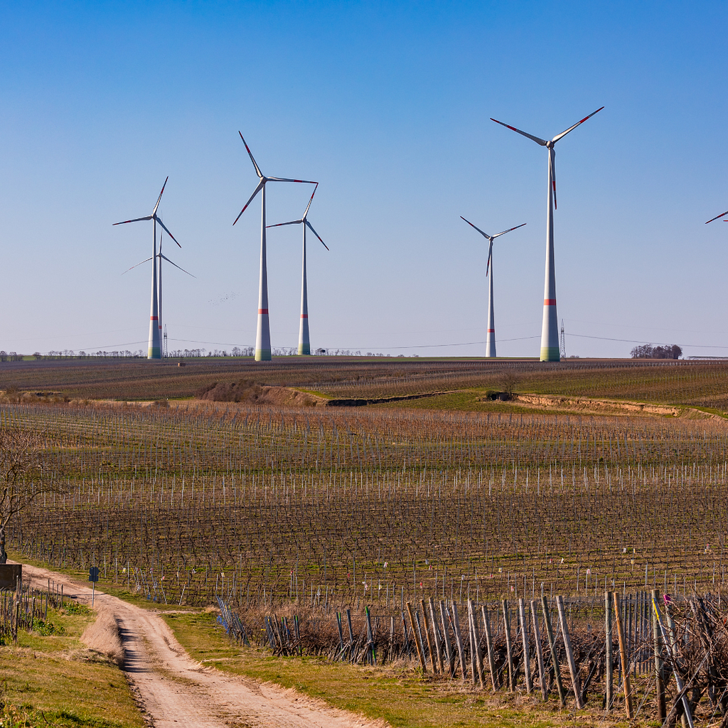 A landscape featuring several large wind turbines set against a clear blue sky. The turbines are surrounded by a vast, open field with rows of crops or vines.