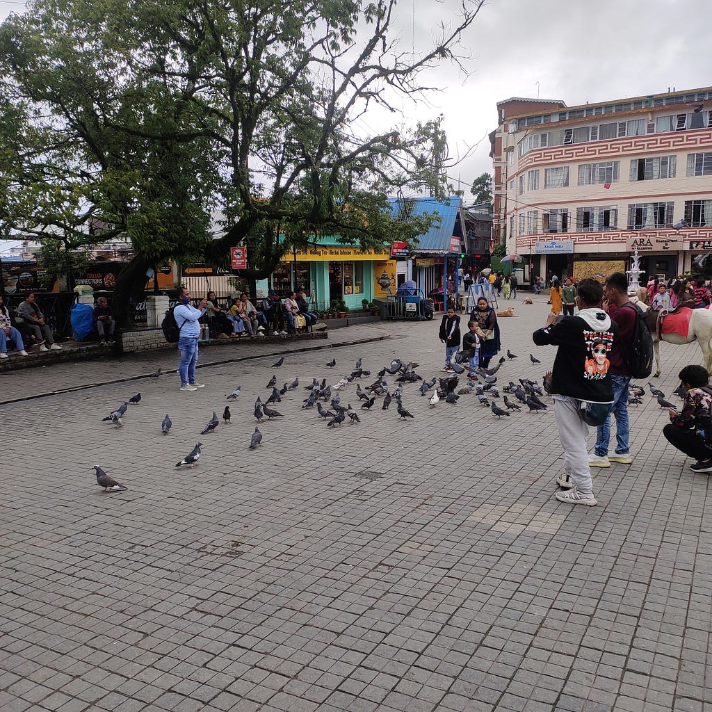 The picture is author’s own. The picture shows the famous Mall Road in Darjeeing. This is from the recent trip my brother and I took. The picture shows a herd of pigeons taking fight as a young boy run towards it. Take some time and look around. Good things take time :)