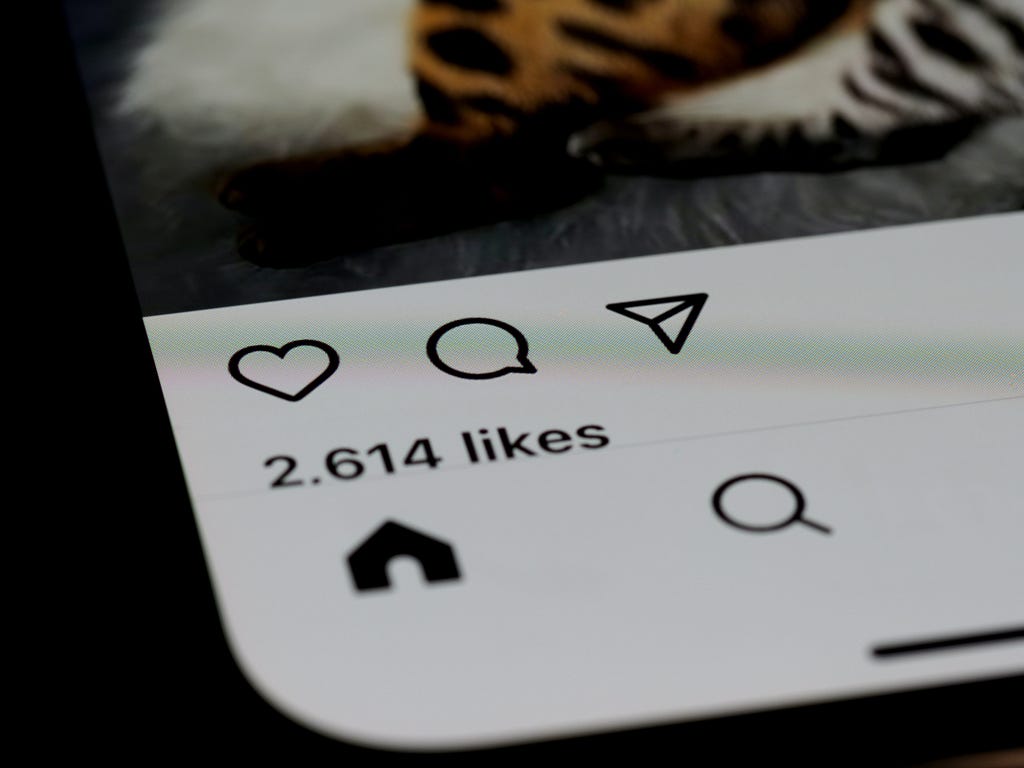 A screenshot of the lower left corner of the Instagram screen, which shows a home symbol and a search symbol.