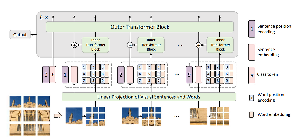 Overview Of Vision Transformers Is All You Need | LaptrinhX