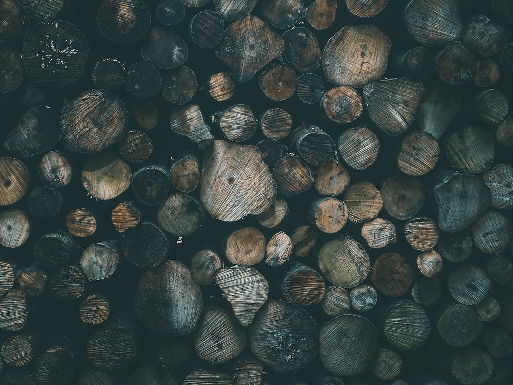 The demand for animal-based products is jeopardizing the future of forests (Photo by Sander Steehouwer, Unsplash licence)