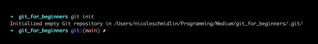 Terminal showing output after the “git init” command