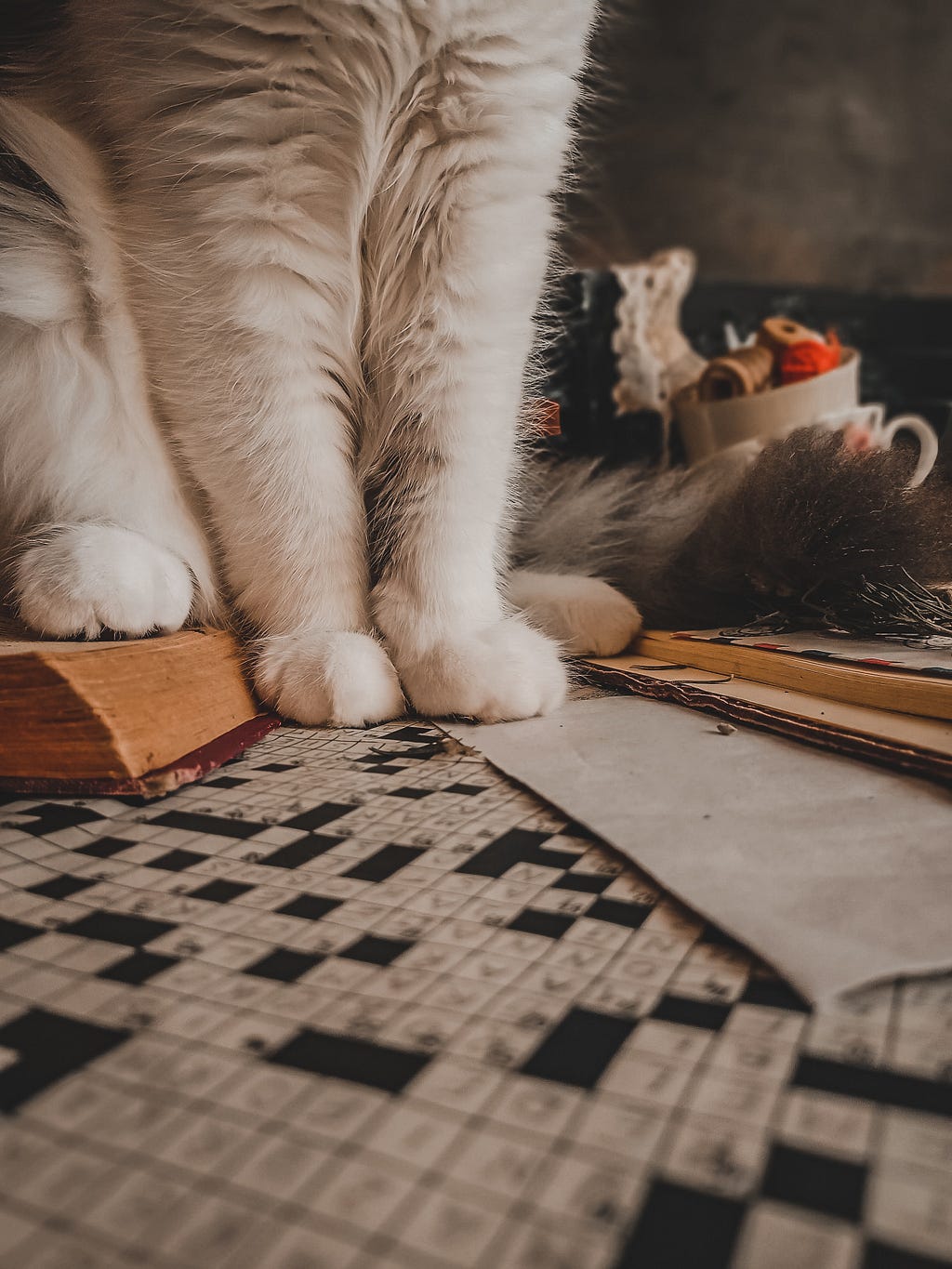 A crossword with a cat on it. I don’t own a cat FYI.