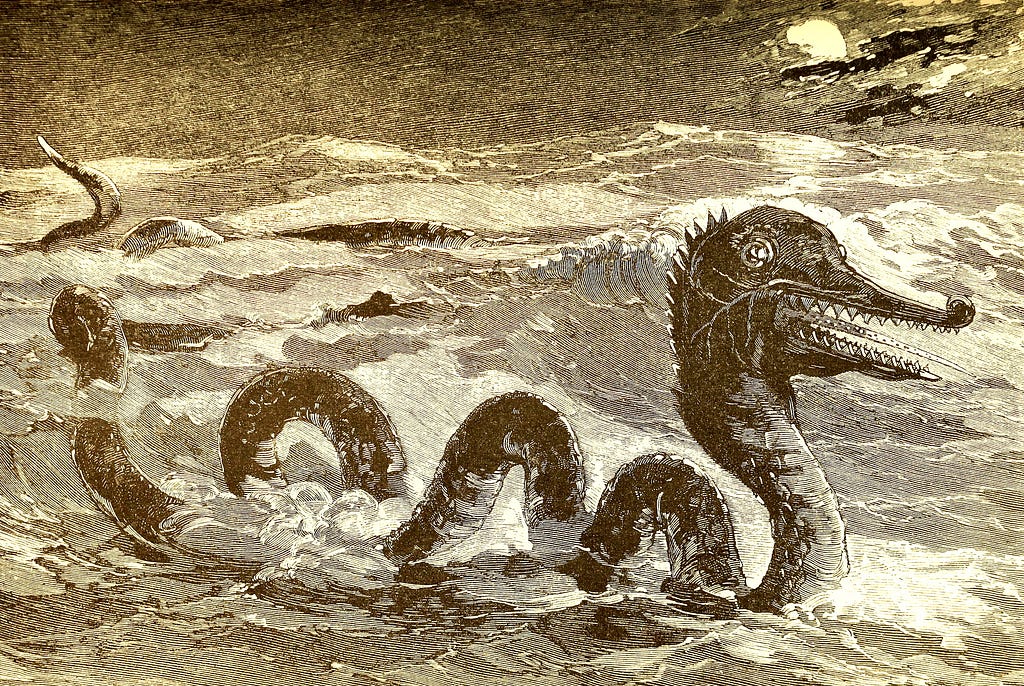 Drawing of a “Great Sea Serpent” (Oudemans, A. C., Public domain, via Wikimedia Commons at https://commons.wikimedia.org/wiki/File:The_great_sea-serpent_(Page_57)_BHL41617299.jpg)