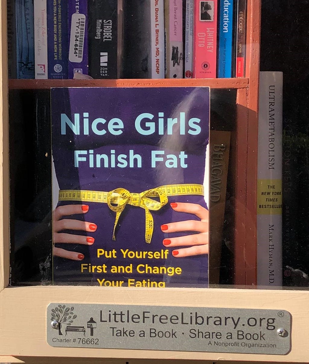 cover of a book called Nice Girls Finish Fat